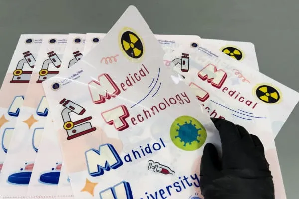 แฟ้มสอด