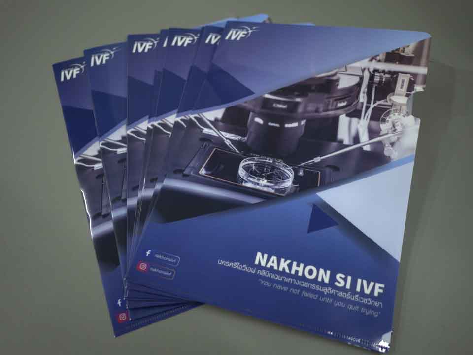 แฟ้มซองพลาสติกใส่เอกสาร โปร่งใส ทนทาน ป้องกันเอกสารจากความชื้นและฝุ่น